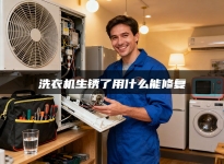 洗衣机生锈了用什么能修复